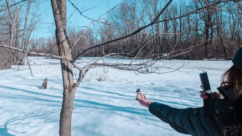 Ottawa: Guided Nature Walk & Wildlife Tour with Hotel Pickup - The Value of the Experience