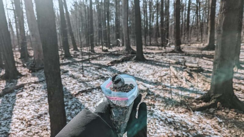 Ottawa: Guided Nature Walk & Wildlife Tour with Hotel Pickup - Final Thoughts