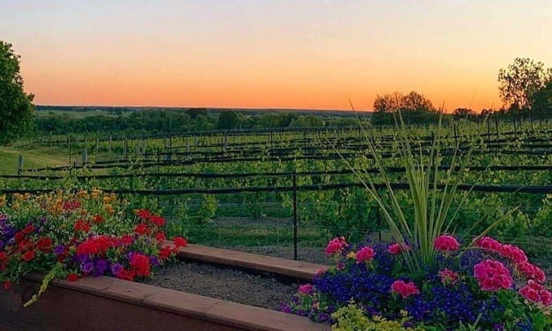 Ottawa: Local Wine and Cider Tour - Authenticity and Reviews