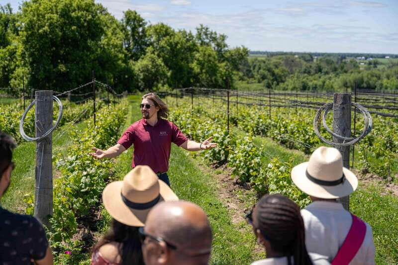 Ottawa: Local Wine and Cider Tour - Who Should Consider This Tour?