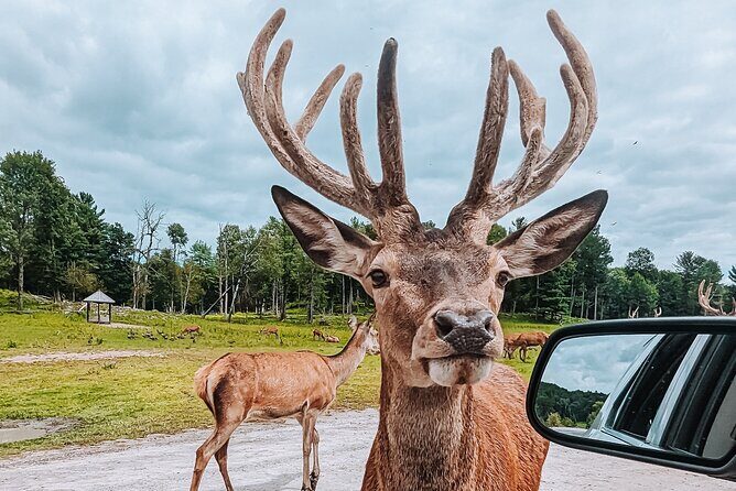 Ottawa Parc Omega Private Tour with Hotel Transfer - Final Thoughts: Is the Ottawa Parc Omega Private Tour Worth It?