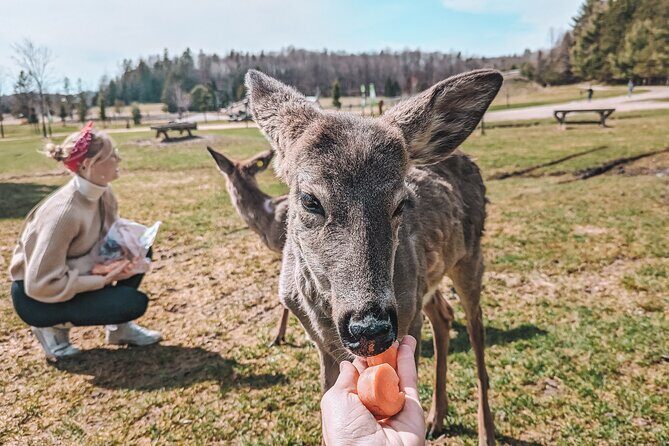 Ottawa Parc Omega Private Tour with Hotel Transfer - FAQ
