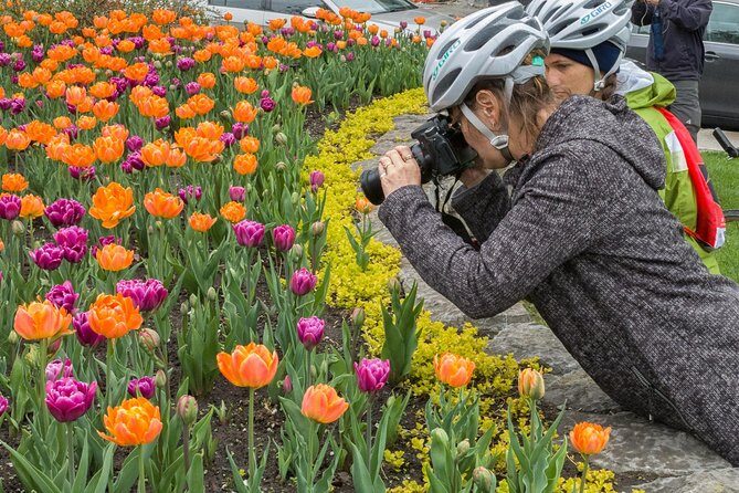 Ottawa Spring Tulip Festival Bike Tour - What to Expect and Why It Matters