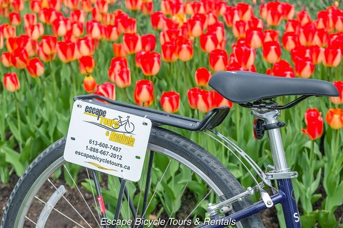 Ottawa Spring Tulip Festival Bike Tour - Authentic Feedback from Participants