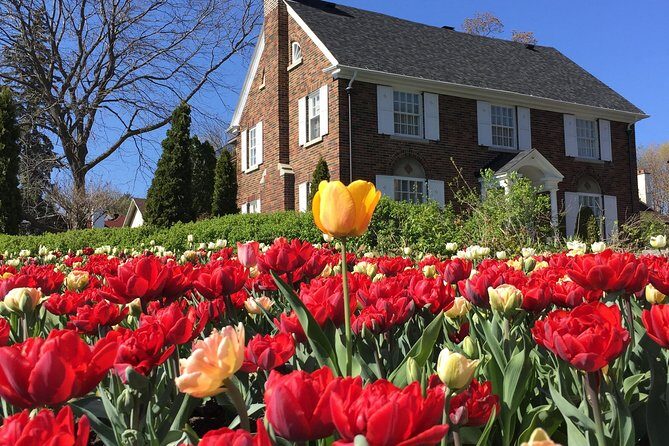 Ottawa Spring Tulip Festival Bike Tour - FAQ