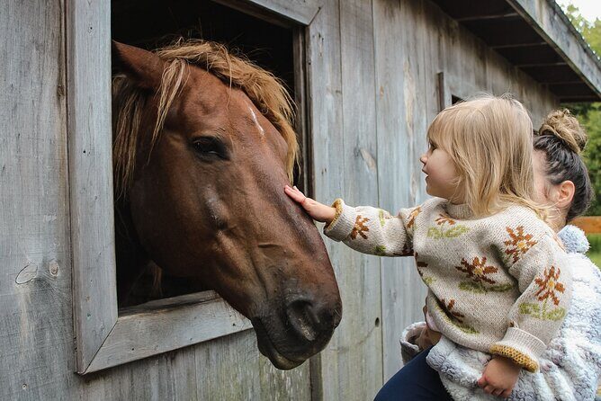 Ottawa Valleyview Little Animal Farm Tour - What the Price Gets You—Is It Good Value?
