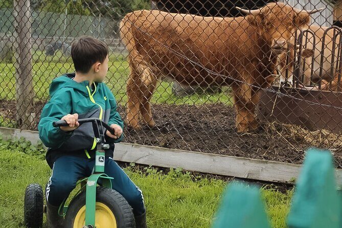Ottawa Valleyview Little Animal Farm Tour - Authenticity and Practical Tips