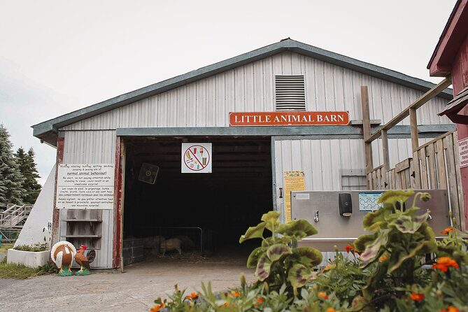 Ottawa Valleyview Little Animal Farm Tour - FAQs about the Valleyview Little Animal Farm Tour