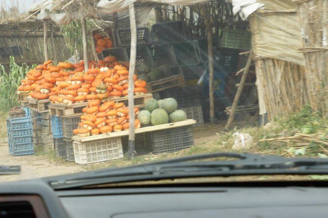 Oualidia Day Trip From Marrakech - Key Points