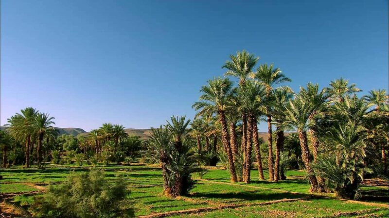 Ouarzazate: 2-Day Chegaga Desert Tour with Camel Ride - Key Points