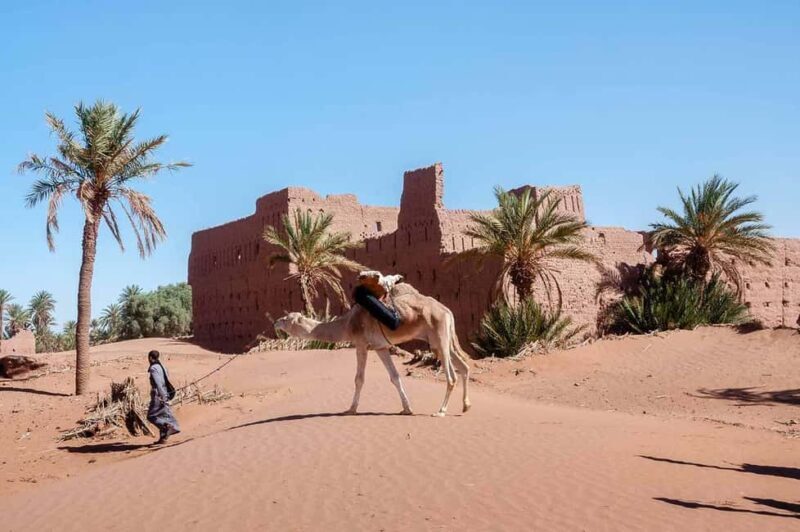 Ouarzazate: 2-Day Chegaga Desert Tour with Camel Ride - What’s Included & What’s Not
