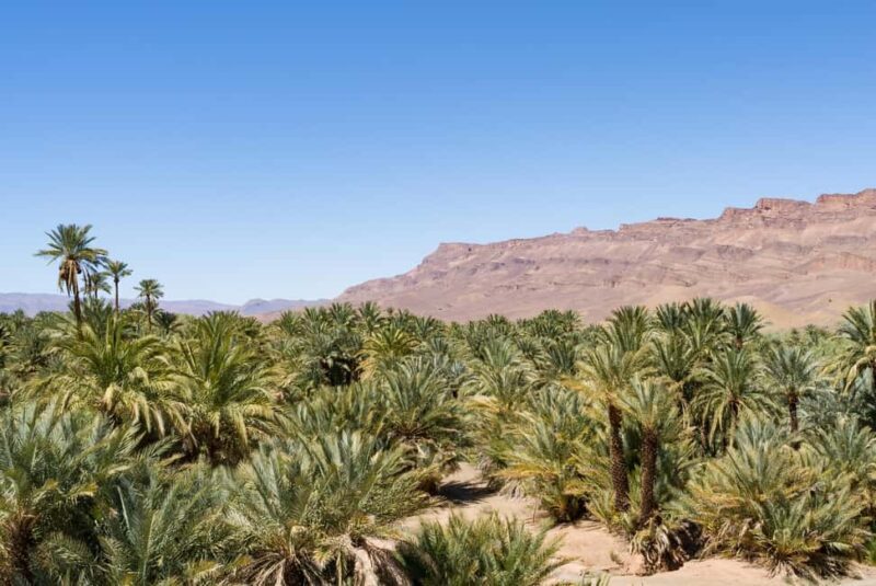 Ouarzazate: Kasbah, Valleys & Erg Lihoudi Desert Trip 2 days - The Sum Up