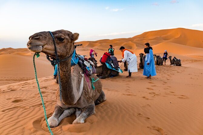 Ouarzazate To Erg Chegaga Dunes & Camel treks in 2 Days - Exploring the Sahara on a 2-Day Marrakech to Erg Chegaga Dunes Tour