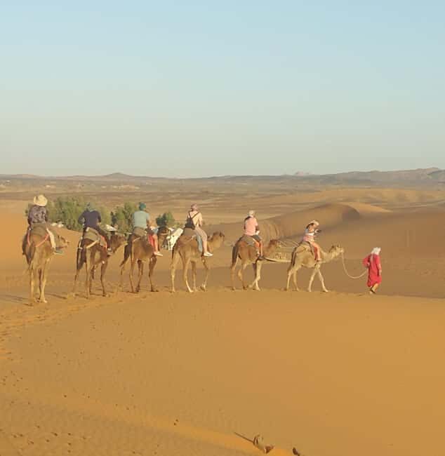 Ouarzazate to Marrakech 3-Day Desert Tour with Camel & Quad - The Sum Up: Who Will Love This Experience?