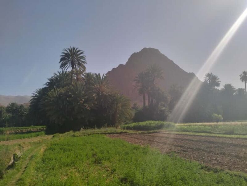 Ouarzazate to Marrakech: 3-Days Merzouga Desert Tour - Transportation, Comfort, and Group Size
