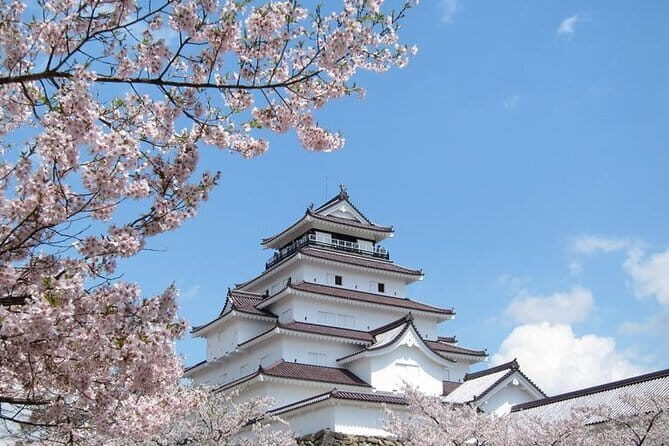 Ouchijuku 6hr Private Tour with Government Licensed Guide - Analyzing the Value: Price and Experience