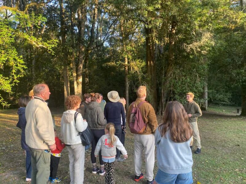 Oudtshoorn: Birding Adventure with Breakfast - Birding Highlights and Sightings