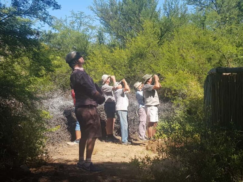 Oudtshoorn: Birding Adventure with Breakfast - The Packed Breakfast and Final Stop