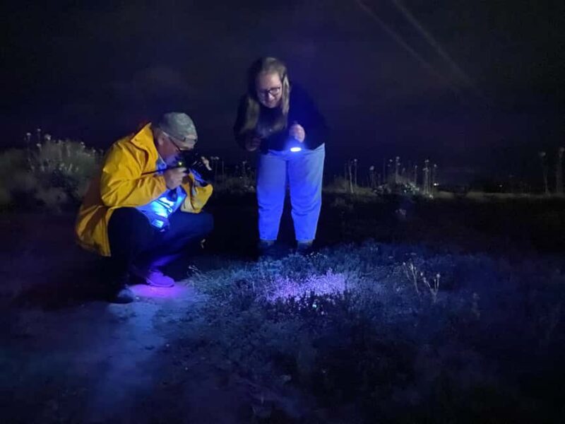 Oudtshoorn: Night Time Nature Walk - Detailed Breakdown of the Experience