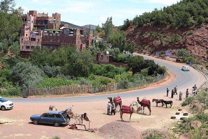 Ourika day tour from Marrakech - A Deep Dive into the Ourika Valley Tour