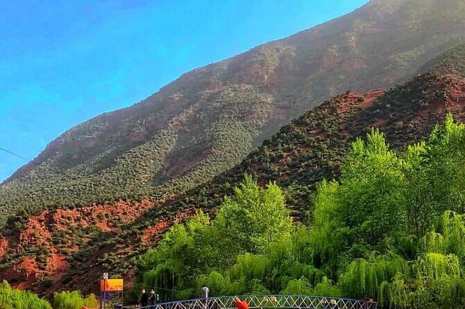 Ourika Valley and Atlas Mountains Day Trip From Marrakech - An Introduction to the Trip Experience