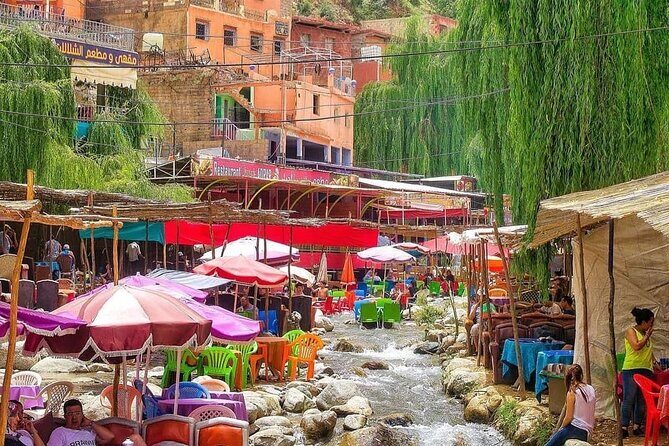 Ourika Valley and Atlas Mountains Day Trip From Marrakech - Price and Value