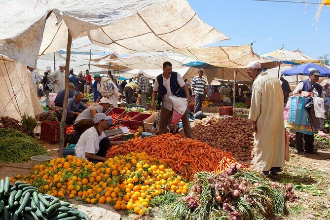 Ourika Valley and Berber Village Tour - Who Is This Tour Best For?