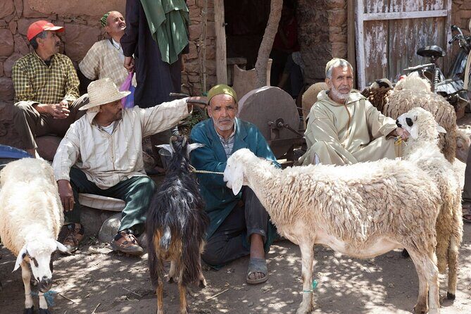 Ourika Valley and Berber Village Tour - FAQs