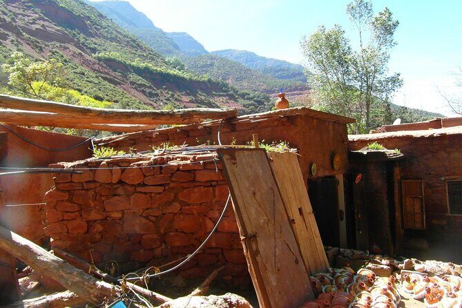 Ourika Valley and the Berber Village Day Trip from Marrakech - Lunch Options and Relaxed Pace