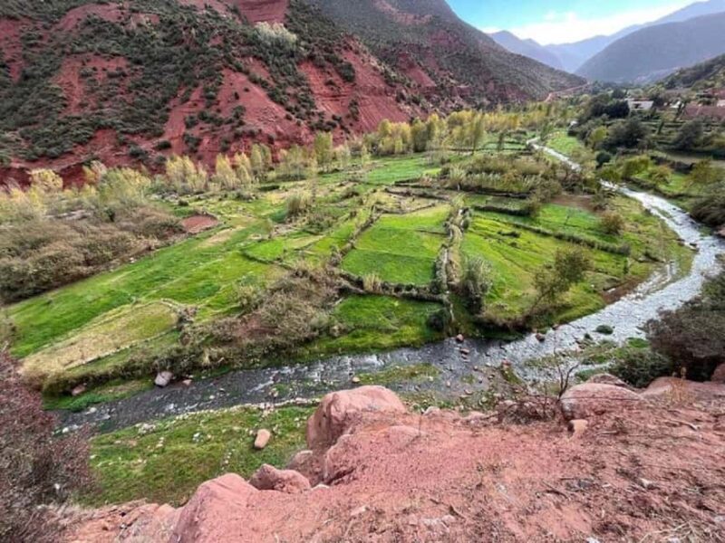 Ourika Valley, Atlas Mountain, Waterfalls - Final Thoughts: Why Choose This Tour?