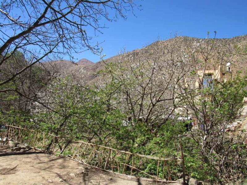 Ourika valley & atlas mountains guided tour from Marrakech - What’s Included and What to Keep in Mind
