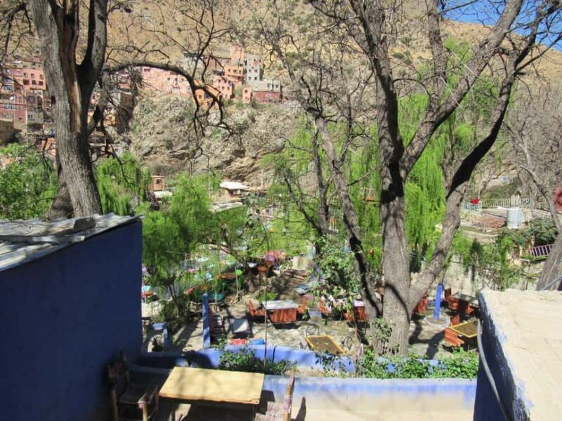 Ourika valley & atlas mountains guided tour from Marrakech - Authentic Experiences & Practical Tips