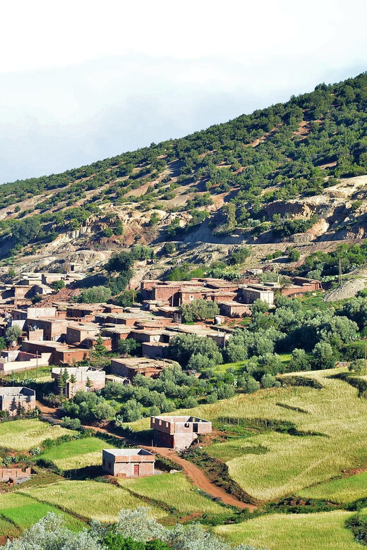 Ourika Valley & Atlas Mountains with lunch included - FAQ