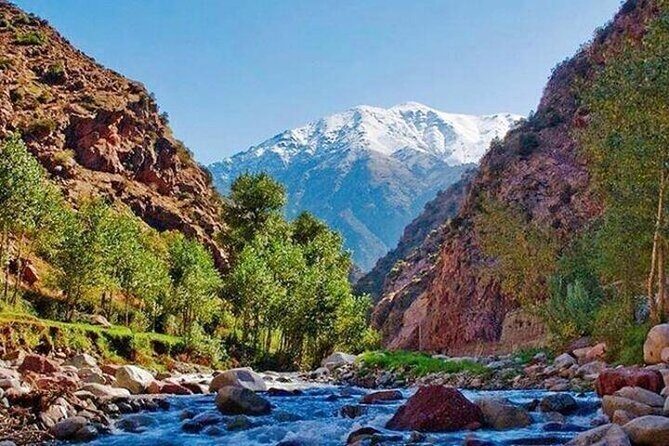 Ourika Valley Day Trip - An In-Depth Look at the Ourika Valley Day Trip
