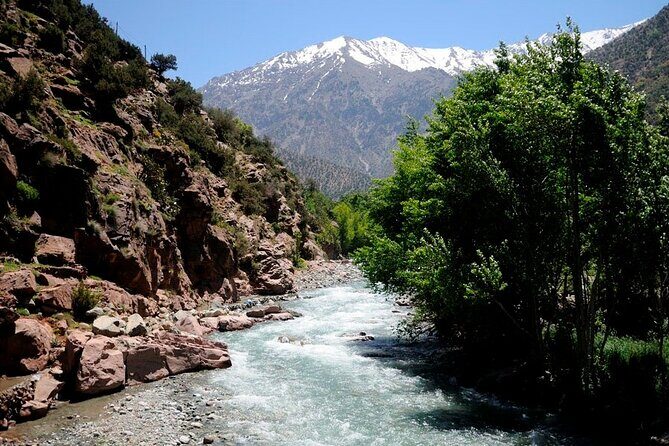 Ourika Valley Day Trip From Marrakech - Who Should Consider This Tour?