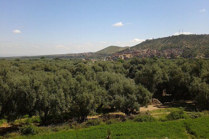 Ourika Valley Day trip Marrakech Morocco - Discovering the Heart of the Atlas: An In-Depth Look at the Ourika Valley Tour
