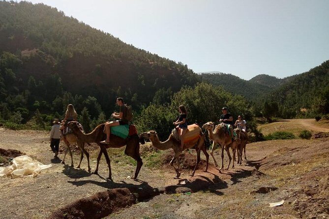 Ourika Valley Full Day Trip from Marrakech - A Practical Look at the Tour Experience
