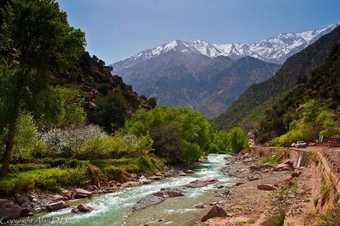Ourika Valley: Guided Day Trip from Marrakech - Practical Details and Insights