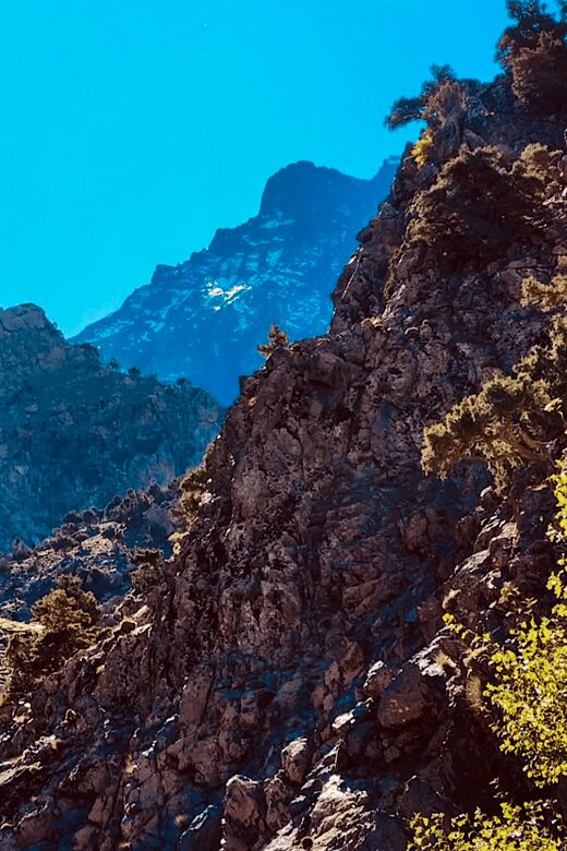 Ourika Valley: Quad Biking,Camel Riding,and Hiking Adventure - What’s Included and What’s Not
