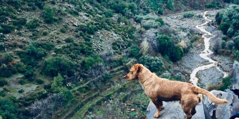 Ourika Valley: Quad Biking,Camel Riding,and Hiking Adventure - Practical Tips for Travelers
