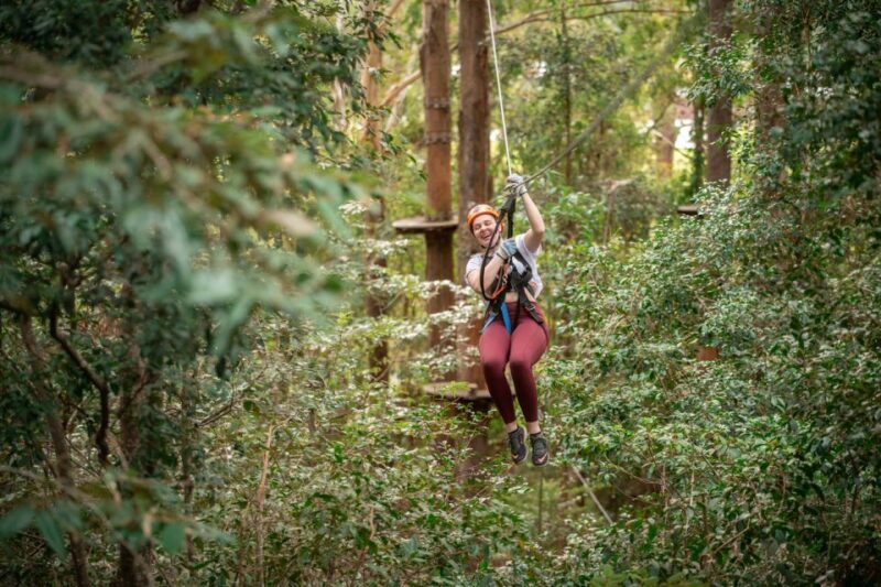 Ourimbah: Central Coast Treetops Adventure Tree Ropes Course - FAQ