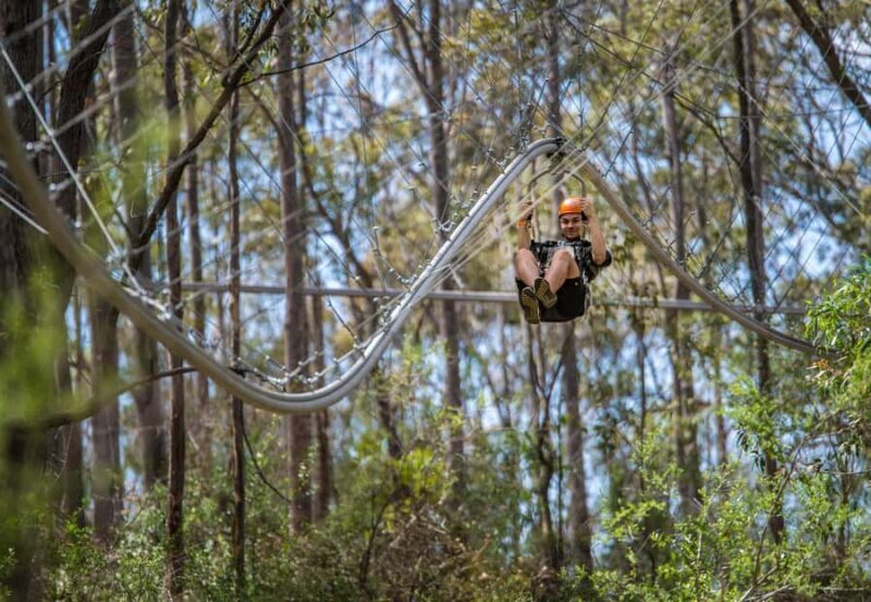 Ourimbah: Central Coast Zipcoaster - An Exciting Ride That Will Leave You Breathless