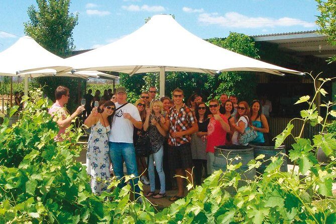 Out For The Afternoon - Half Day of Indulgence in the Swan Valley - Key Points