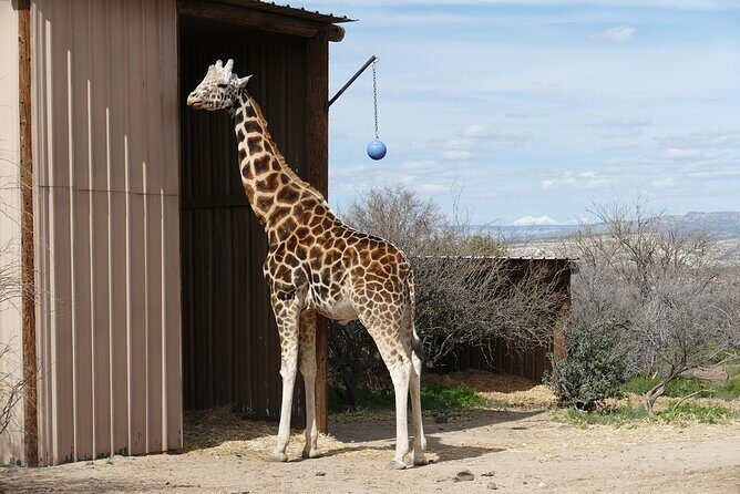 Out of Africa Wildlife Park Admission Ticket - Who Will Love Out of Africa Wildlife Park?