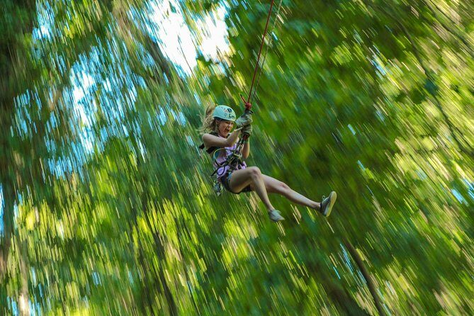 Outdoor Ziplining and UTV Adventure from Los Cabos - Introduction