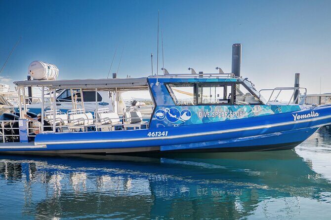 Outer Reef Scuba Diving Day Tour from Agnes Water 1770 - Why This Tour Stands Out