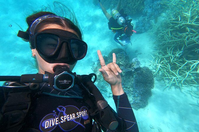 Outer Reef Scuba Diving Day Tour from Agnes Water 1770 - The Value in Price and Experience