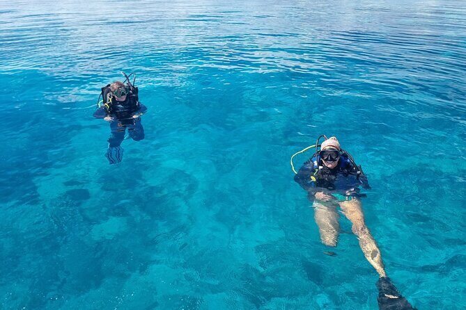 Outer Reef Scuba Diving Day Tour from Agnes Water 1770 - Who Will Love This Tour?