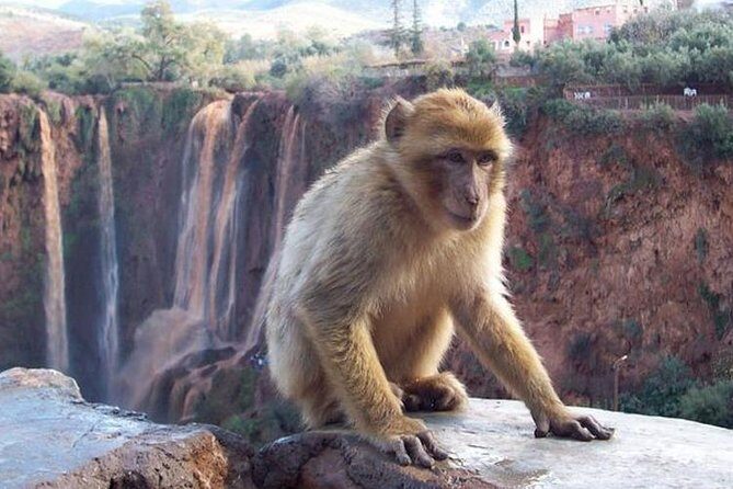 ouzoud watefalls and Iminifri Natural Bridge - In-Depth Look at the Itinerary