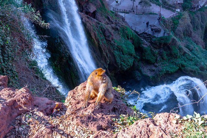 ouzoud watefalls and Iminifri Natural Bridge - The Practicalities: Transport, Cost, and Flexibility